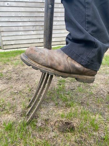 How To Reseed A Damaged Lawn dig the ground