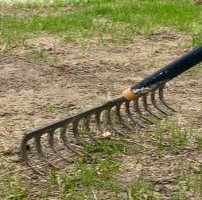 How To Reseed A Damaged Lawn rake to level the ground