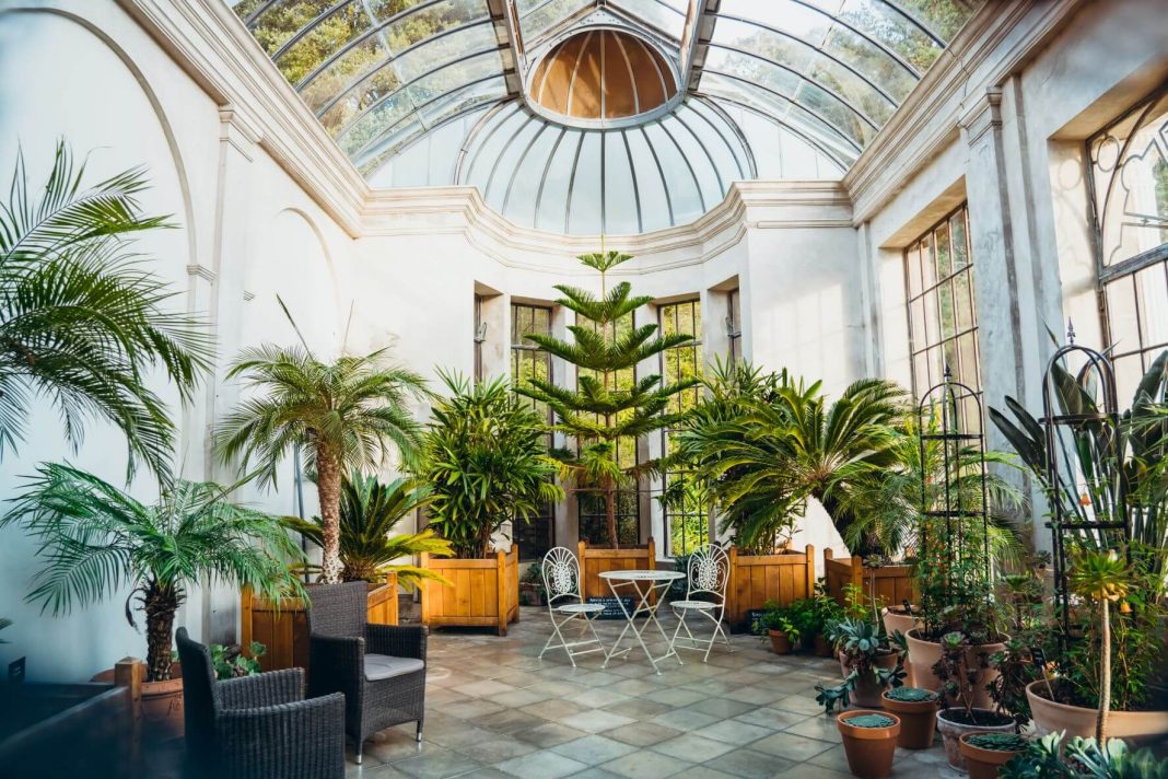 Biophilic Garden Room