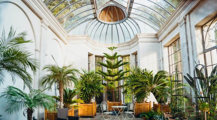 Do you need a Biophilic Garden Room in your home?