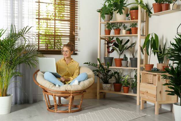 Do you need a Biophilic Garden Room in your home? Biophilic Garden Room for a working place