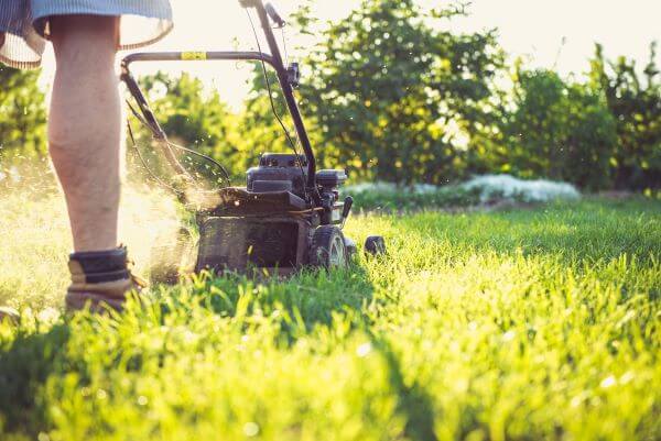 A man mowing his lawn in sunshine