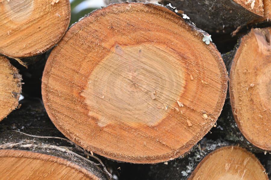 logs wet layers